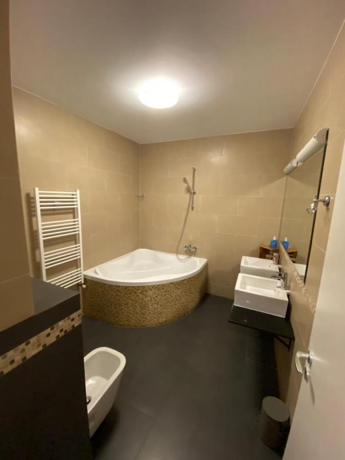 Gaga Residence 3 Тимишоара Экстерьер фото